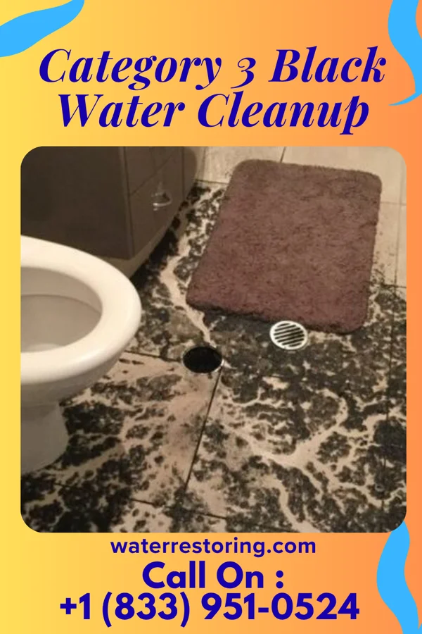 Category 3 Black Water Cleanup in Tallassee, AL