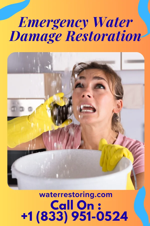 Emergency Water Damage Restoration in Tallassee, AL